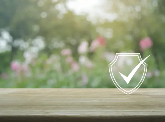 Security Shield
